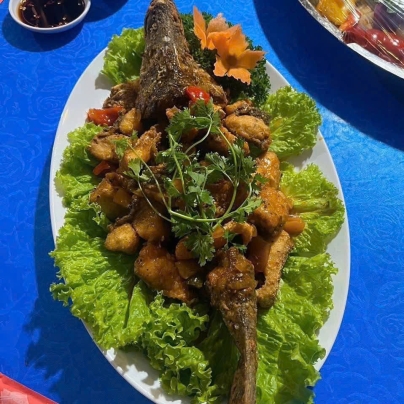 Dịch vụ nấu tiệc giá rẻ